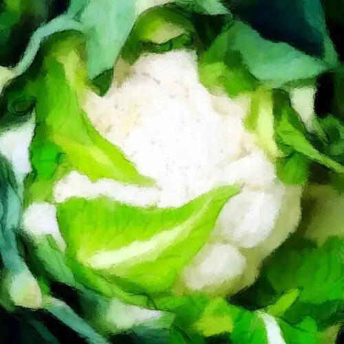 Fermented Cauliflower Stems And Leaves