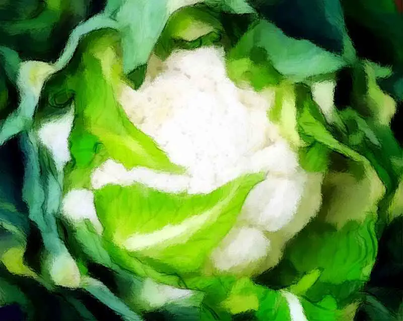 Fermented Cauliflower Stems And Leaves